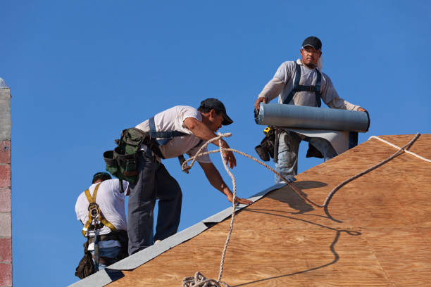 Best Shingle Roofing Installation  in Leesburg, VA