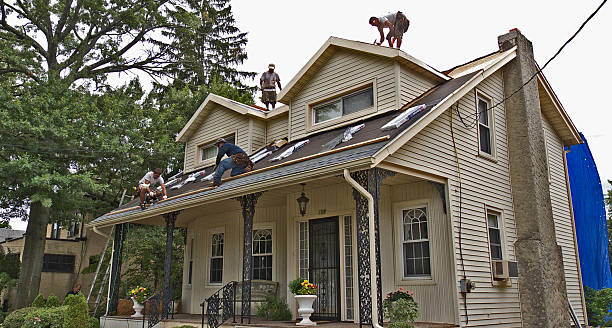 Best Roof Repair Services  in Leesburg, VA